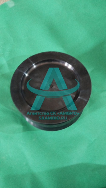 Поршень JIUHE DN230 3.10.05.0000015